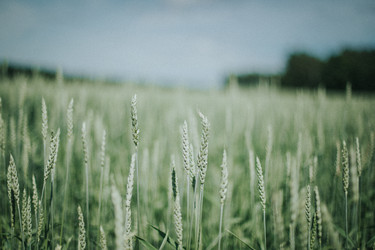 Similar image 21973499