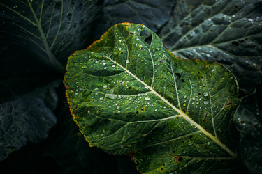 Similar image 21973501