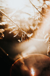 Similar image 21973504