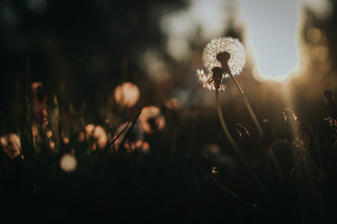 Similar image 21973505