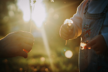 Similar image 21973506