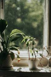 Similar image 21973507