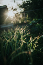 Similar image 21973508