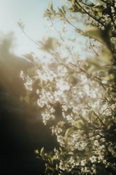 Similar image 21973510