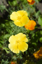 Similar image 21973511