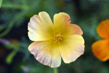 Similar image 21973515