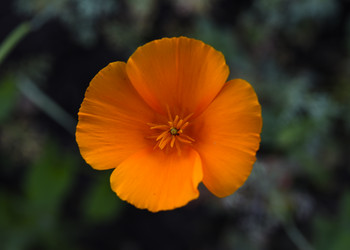 Similar image 21973516