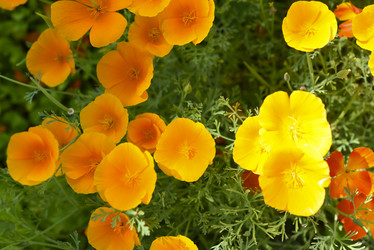 Similar image 21973517