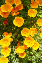 Similar image 21973518