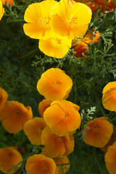 Similar image 21973519