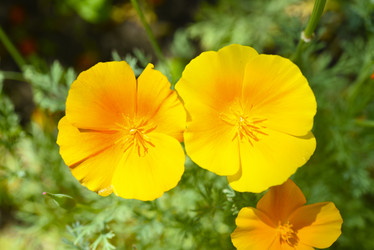 Similar image 21973520