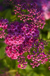 Similar image 21973522