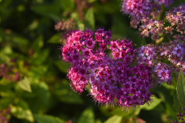 Similar image 21973523