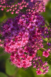 Similar image 21973524