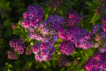 Similar image 21973526