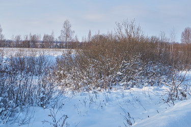 Similar image 21973777