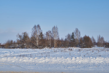 Similar image 21973778