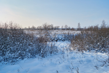 Similar image 21973781