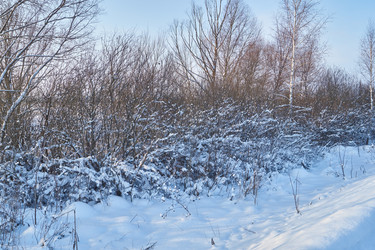 Similar image 21973782