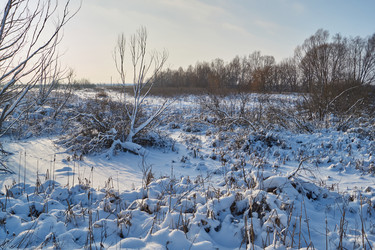 Similar image 21973785