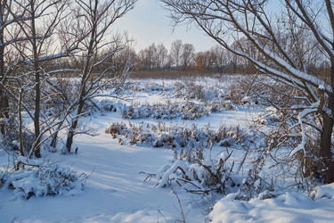 Similar image 21973786