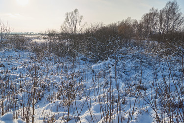 Similar image 21973788