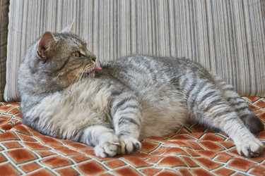 Similar image 21973789