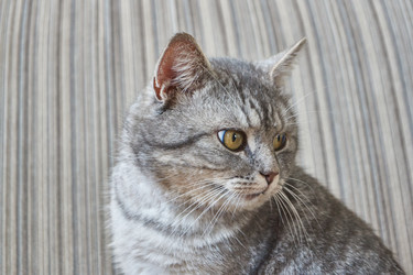 Similar image 21973790