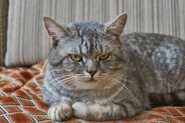 Similar image 21973791