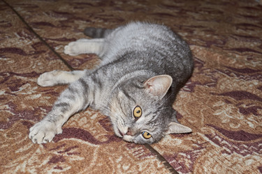 Similar image 21973793