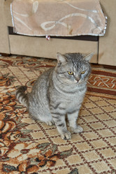 Similar image 21973794