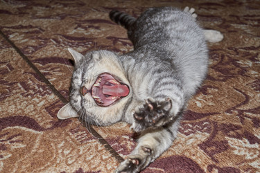 Similar image 21973795