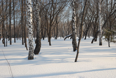 Similar image 21974620