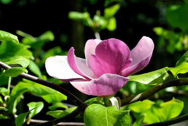 Similar image 21974637