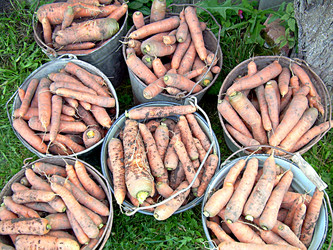 Similar image 21974762