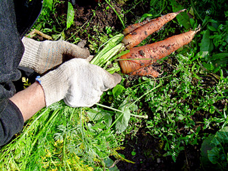 Similar image 21974769