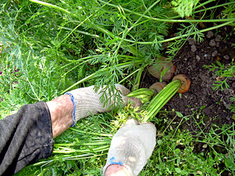 Similar image 21974770