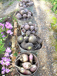 Similar image 21974772