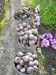 Similar image 21974773