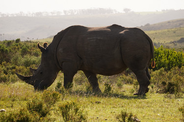 Similar image 21974471