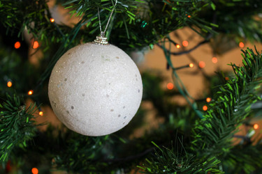 Similar image 21973336