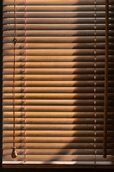 Similar image 21975340