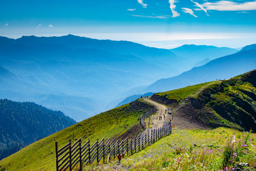 Similar image 21974481