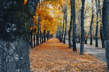 Similar image 21974482