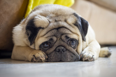 Similar image 21974483