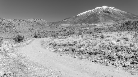 Similar image 21974486