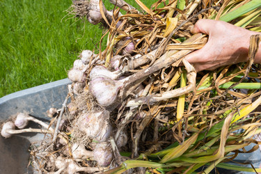 Similar image 21974490