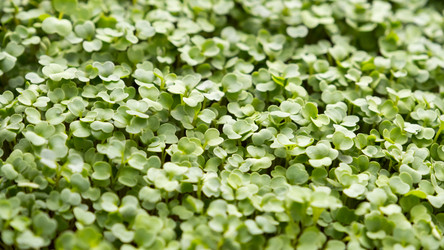 Similar image 21974492