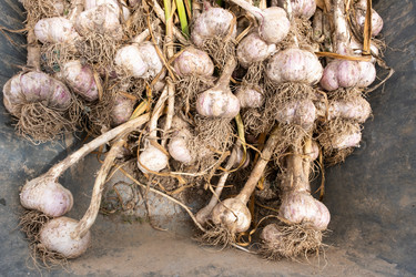 Similar image 21974493