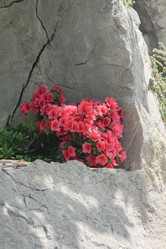 Similar image 21973533